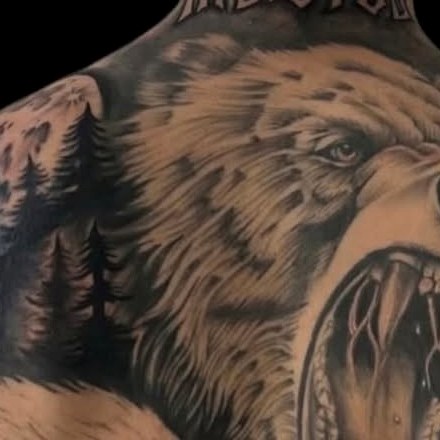 Black and grey bear tattoo across a client's back