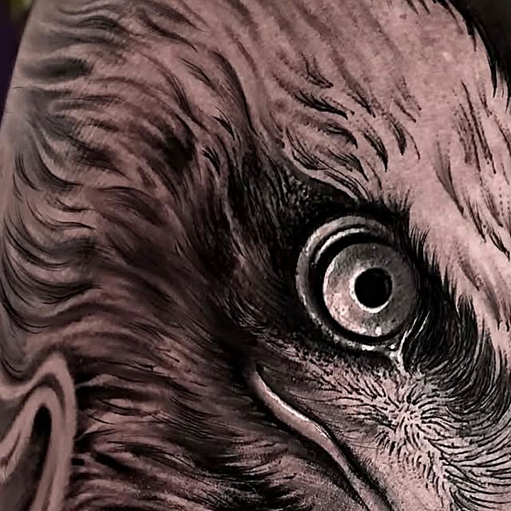 Close-up detail of an eagle's eye tattoo
